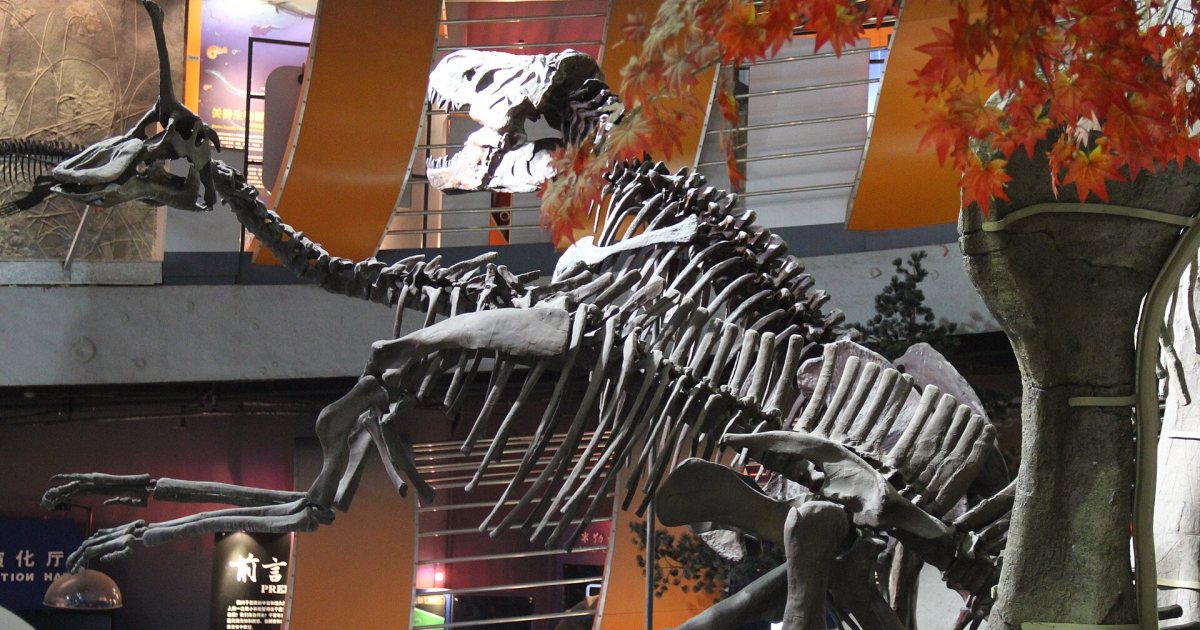 Tyrannosaurus rex: anatomy of a tyrant